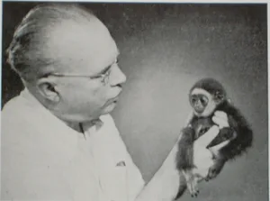 Robert van Gulik